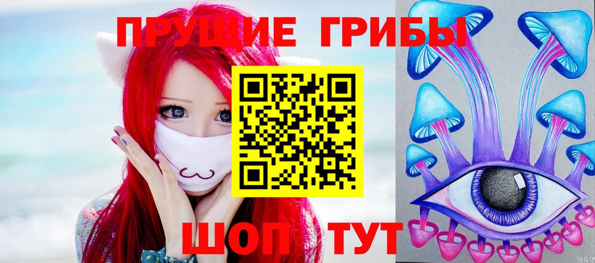 Псилоцибиновые грибы Psilocybe  Вход с VPN  купить закладку  Бийск  Псилоцибиновые грибы ЛСД 